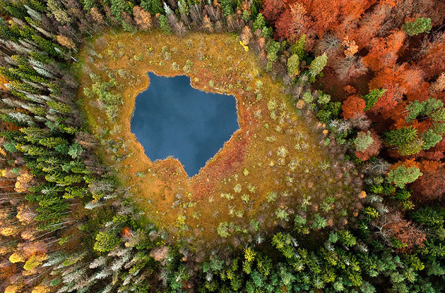 Hồ Forest ở Phần Lan ở cùng chung góc chụp nhưng tại hai thời điểm khác nhau